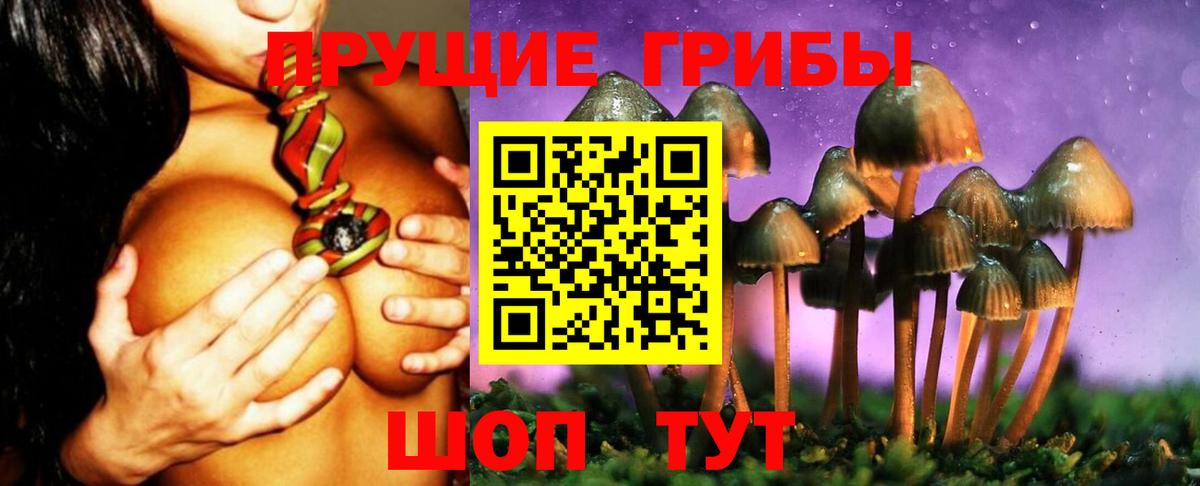 Галлюциногенные грибы GOLDEN TEACHER Чита